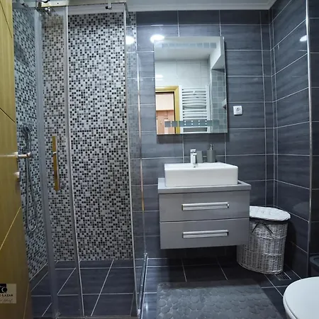 Ledjanac アパート *